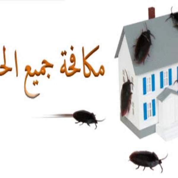 مكافحة الحشرات والقوارض