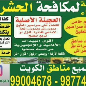 مكافحة حشرات وقوارض مكافحة حشرات وقوارض