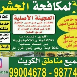 مكافحة حشرات وقوارض مكافحة حشرات وقوارض