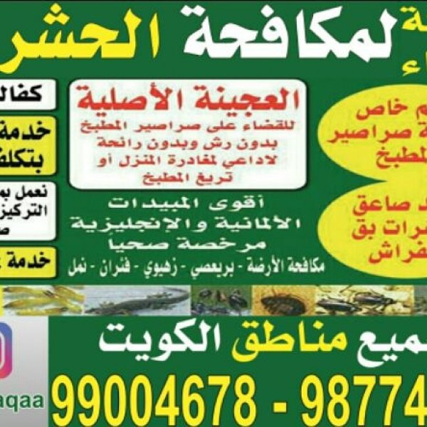 مكافحة حشرات وقوارض