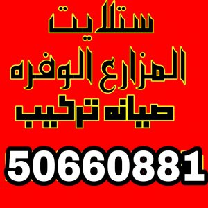 ستلايت الوفرة ستلايت الوفرة